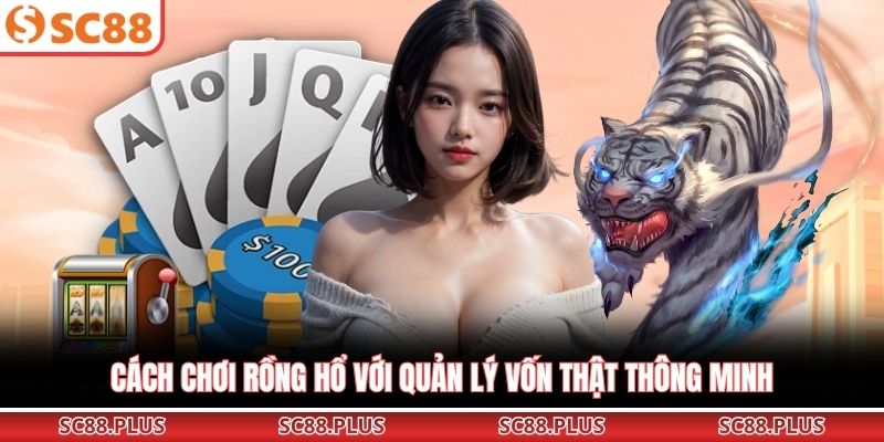 Cách chơi Rồng Hổ với quản lý vốn thật thông minh